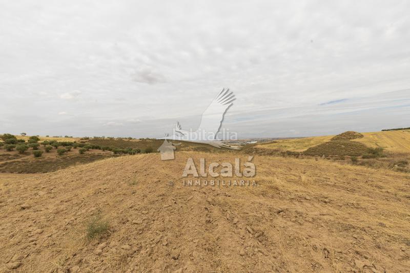 Foto 995ef3f8-e953-4ac3-ac9e-3895cb65fa10. Terrain résidentiel dans Santos de la Humosa (Los)