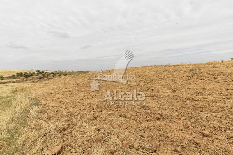 Foto ba9b3eeb-3afe-4caa-abdf-8dd1ad353680. Terrain résidentiel dans Santos de la Humosa (Los)