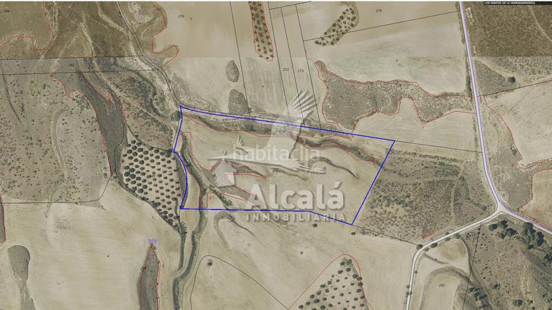 Foto c600f85e-b704-467c-86bb-421822ca9d58. Terrain résidentiel dans Santos de la Humosa (Los)