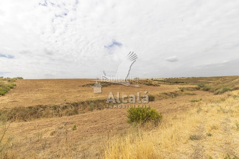 Foto ce345d02-38ad-4a78-a90f-fbb1c3a5faea. Terrain résidentiel dans Santos de la Humosa (Los)