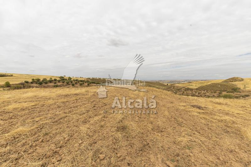 Foto d4694fcf-049f-4a05-9025-c20533f9236b. Terrain résidentiel dans Santos de la Humosa (Los)