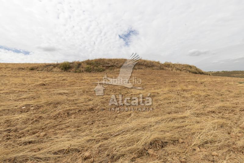 Foto e106c2d9-1f3a-45d5-98c4-80ab7977cbb4. Terrain résidentiel dans Santos de la Humosa (Los)