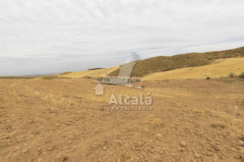 Foto f8e60a9f-43d4-4bcd-9d00-bf710934fa5d. Terrain résidentiel dans Santos de la Humosa (Los)
