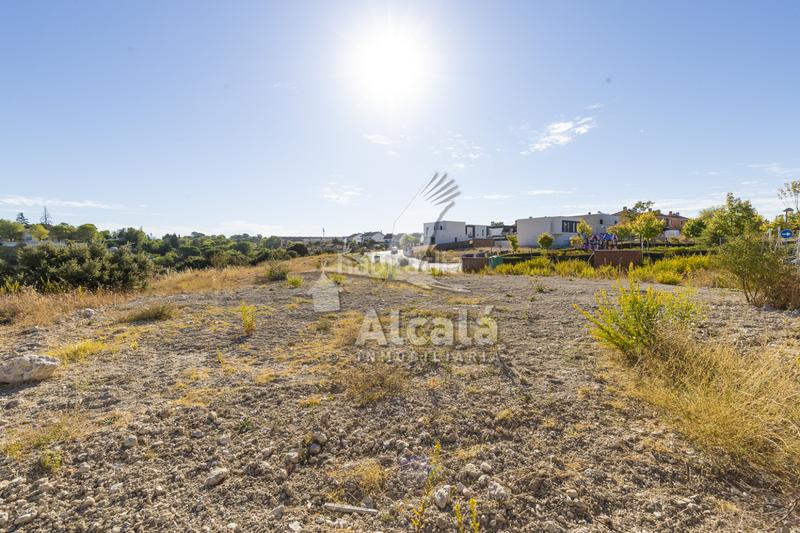 Foto 338622d8-174a-4712-aa7d-9dd67e5d783b. Terreny residencial a Villalbilla pueblo Villalbilla