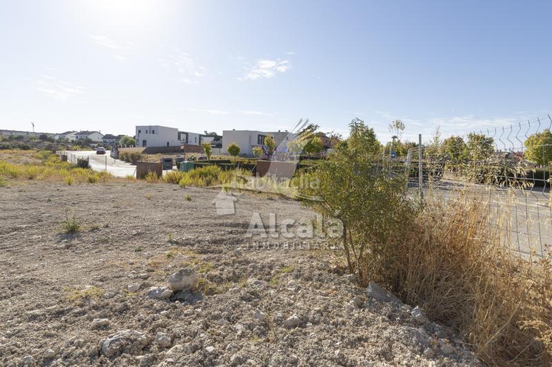 Foto ccd5ddeb-9de8-4607-b1c4-ca70decf7228. Terreny residencial a Villalbilla pueblo Villalbilla