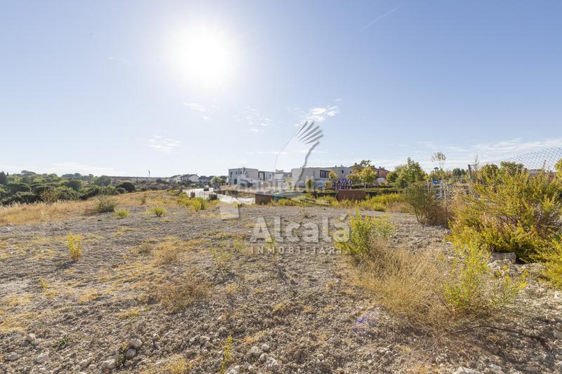Foto e381e0e9-cc85-48cd-95fa-57ac378d8cb9. Terreny residencial a Villalbilla pueblo Villalbilla