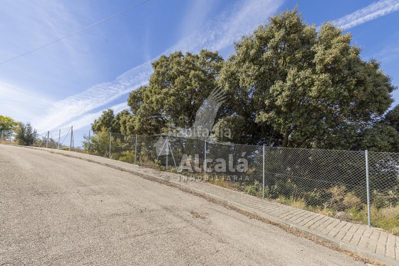 Foto 1143b4a5-94f6-4ae9-957b-420f89a6456a. Wohngrundstück in Hontoba