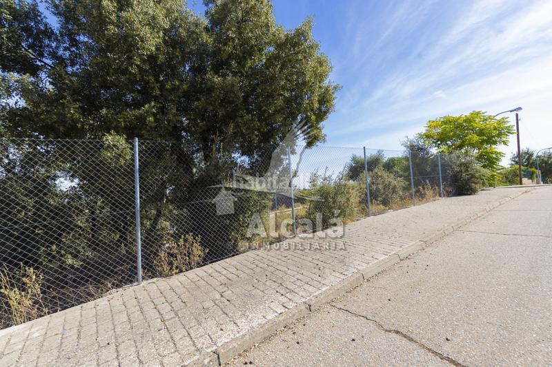 Foto 6a69e8cb-5bbb-4ab3-a9a4-993ea869a566. Wohngrundstück in Hontoba