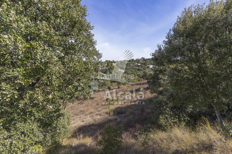 Foto 81091378-d3cf-48fc-baf7-109e0e6693cd. Wohngrundstück in Hontoba