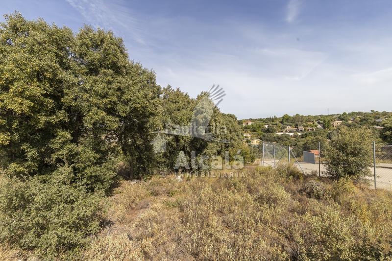 Foto 8ce7e87c-a646-4dda-a93d-6872ed9bdf40. Wohngrundstück in Hontoba