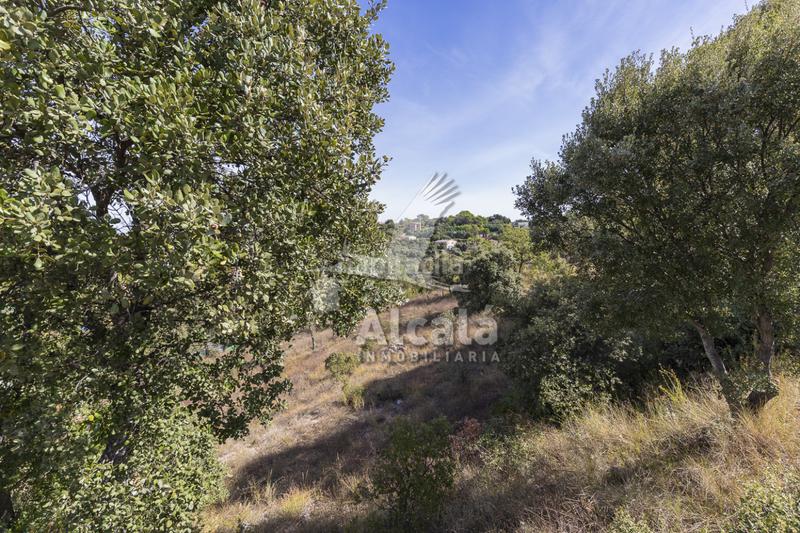 Foto 94de982f-8c9b-4bc2-94e4-ca603f38aded. Wohngrundstück in Hontoba