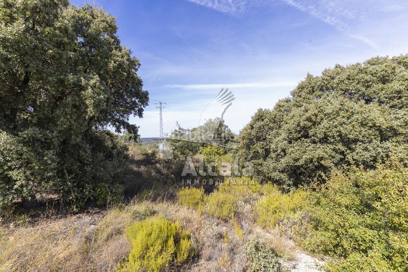 Foto a068c280-a14b-4acf-9c4e-8b7f251ac320. Wohngrundstück in Hontoba