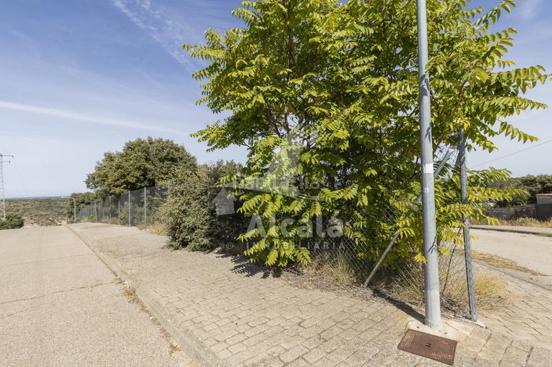 Foto ab9d5337-41fe-4b81-b11f-bb47af841746. Wohngrundstück in Hontoba