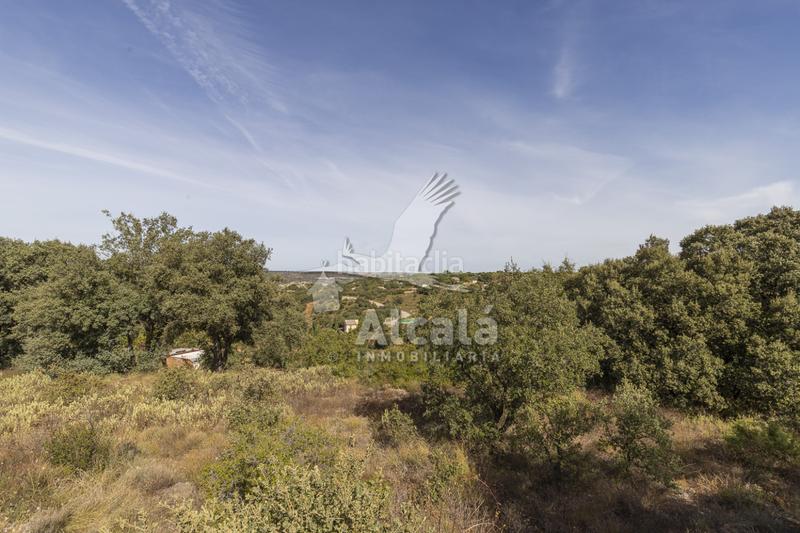 Foto d77616a9-9be9-4540-8d72-788d603478ad. Wohngrundstück in Hontoba