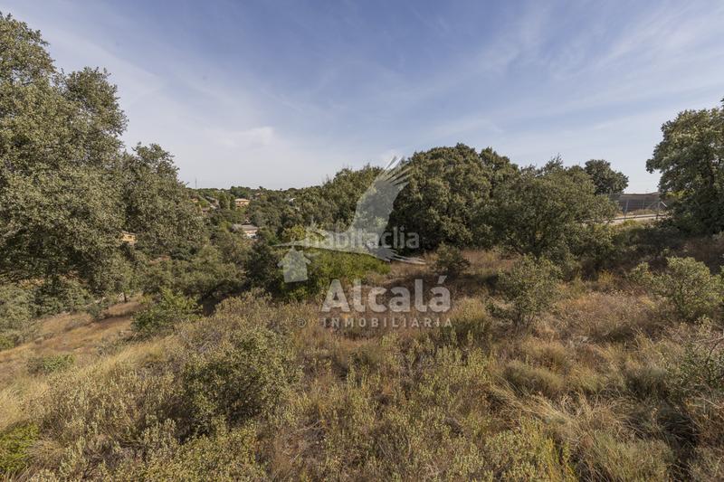 Foto e9956053-8f71-4ac5-ab2e-92a053622f36. Wohngrundstück in Hontoba