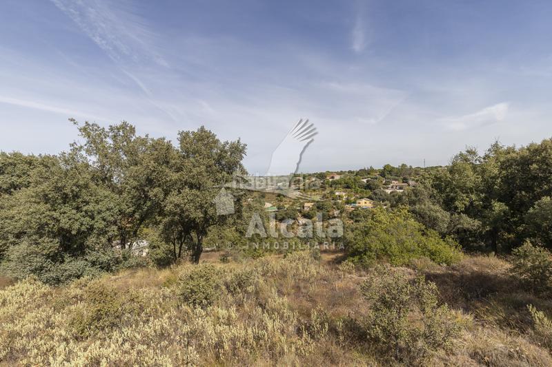 Foto f376f8f2-7686-4ea0-9bac-ebc277b84f09. Wohngrundstück in Hontoba