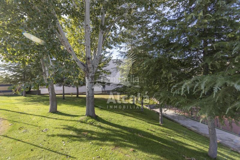 Foto aa95708d-b951-4a3d-88f7-8f3338cb6df4. Ático loft dúplex con encanto en Loeches