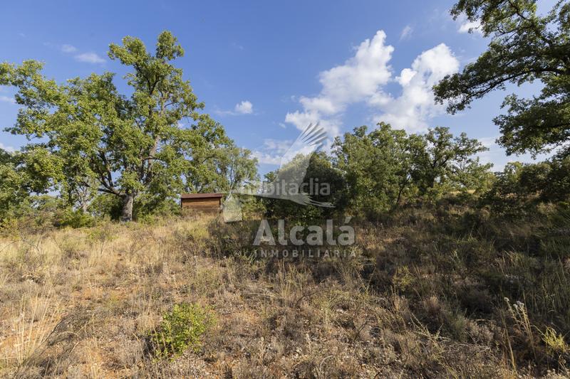 Foto 0113840c-5672-4cf9-a96b-43997f9bb919. Terreno residenziale in Pastrana