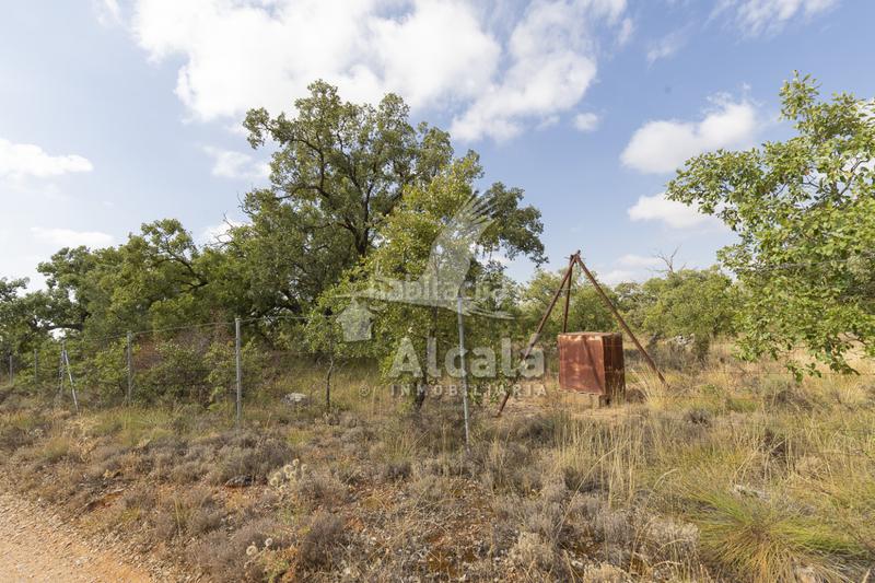 Foto 022052f2-8b7c-4706-8379-abd06f67b456. Terreno residenziale in Pastrana