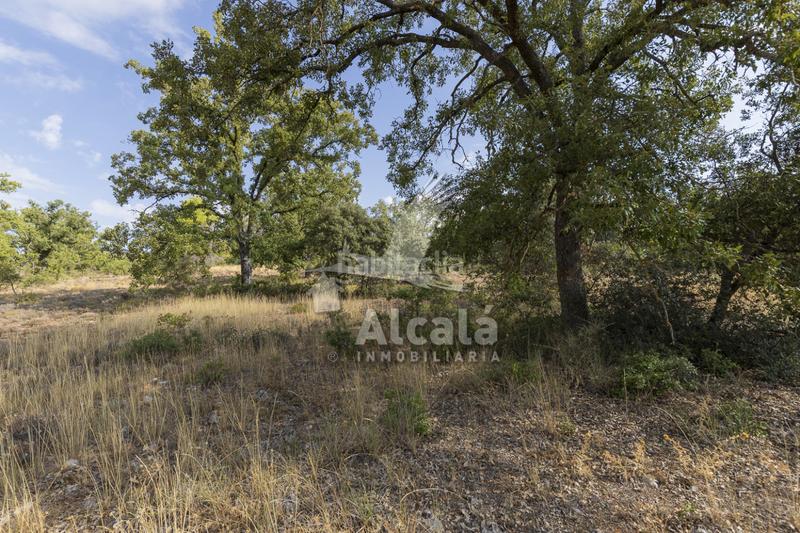 Foto 068c09c5-022b-41fa-af22-6c91ea5c13e3. Terreno residenziale in Pastrana