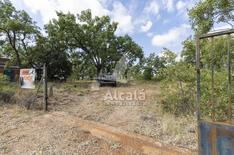 Foto 0a38fbc8-d2f5-4807-88cb-80163ac72262. Terreno residenziale in Pastrana