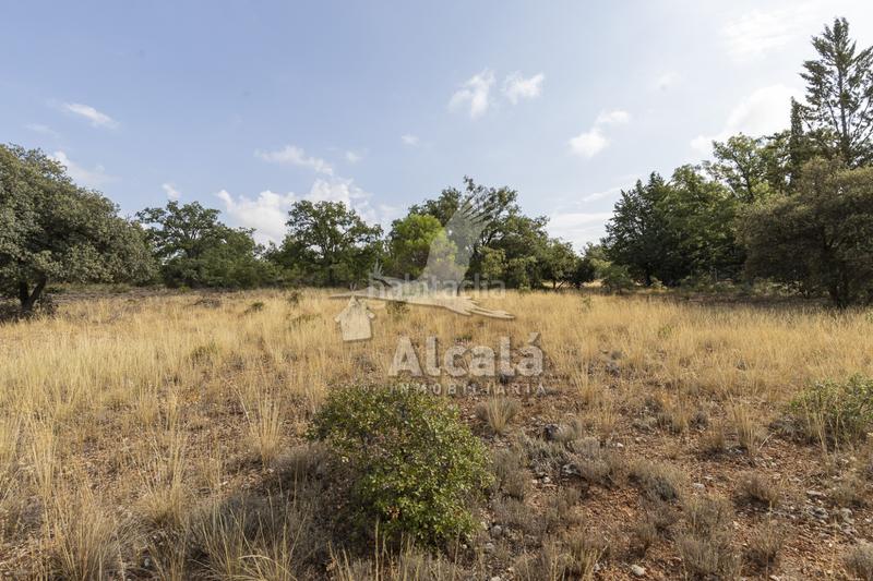 Foto 148ae224-07d9-4e60-b5ba-cddf1f67fd72. Terreno residenziale in Pastrana