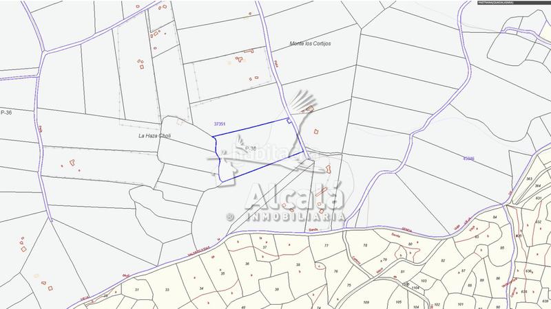 Foto 1a470815-314e-4094-9e40-522bd87295a6. Terreno residenziale in Pastrana