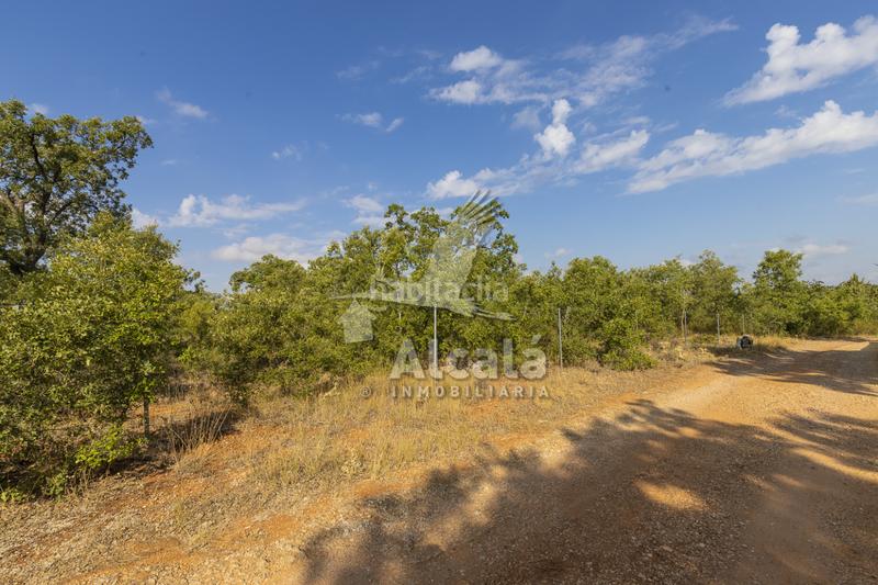 Foto 1d76a313-0e7a-4f85-b434-37bd2fb4d7ec. Terreno residenziale in Pastrana