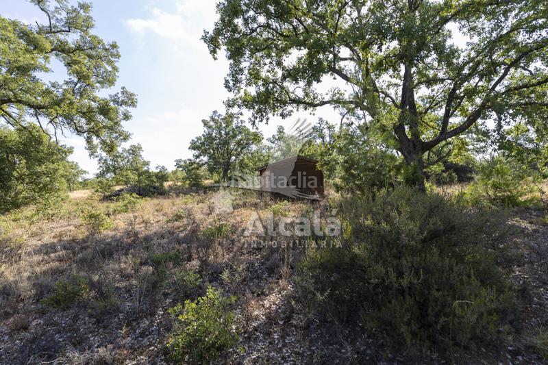 Foto 2115f085-2c8c-4c7f-8bfa-726b5389ad5f. Terreno residenziale in Pastrana