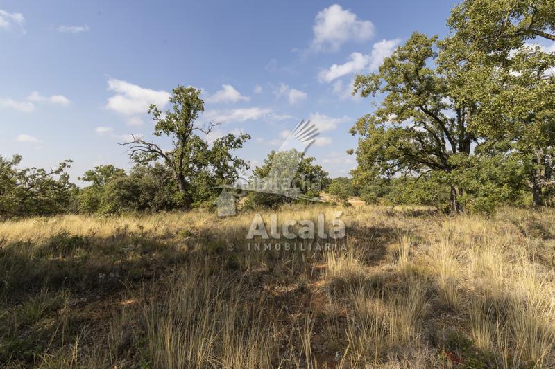 Foto 22469380-17dd-4870-b68b-accdc66e7329. Terreno residenziale in Pastrana