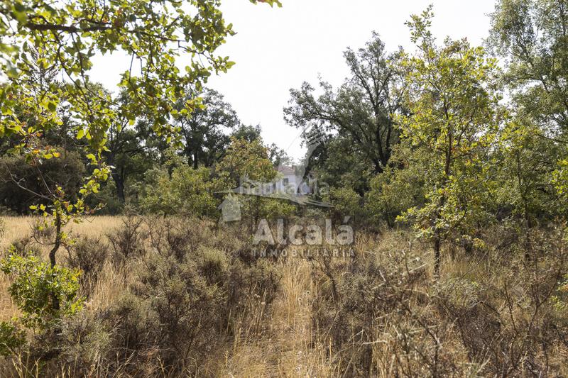Foto 25a4e1de-23f6-48e7-a1b6-fcde8ad6adc5. Terreno residenziale in Pastrana