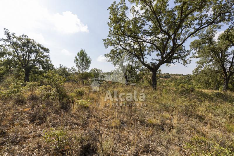 Foto 273d87fe-bdd3-43b4-be56-10b03ac12272. Terreno residenziale in Pastrana