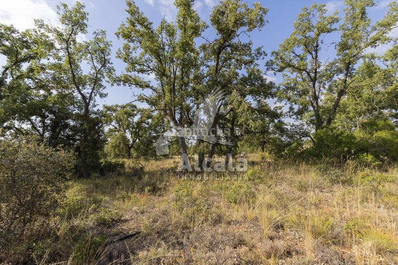 Foto 2a7cf278-e27a-41d5-a7df-2cdb3bff7b90. Terreno residenziale in Pastrana