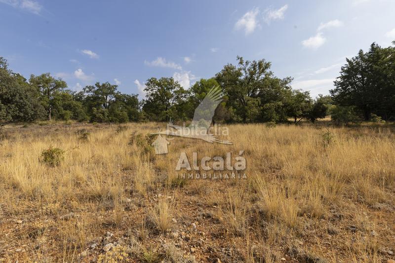 Foto 2bbe2e27-38b9-459f-b698-20d4b95432e4. Terreno residenziale in Pastrana