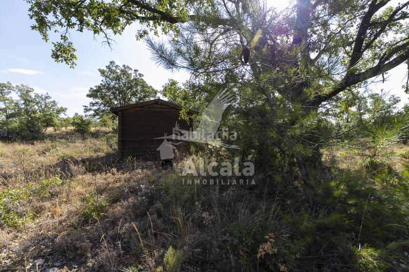 Foto 315fa1c1-f81f-47ff-b933-49560213ca80. Terreno residenziale in Pastrana