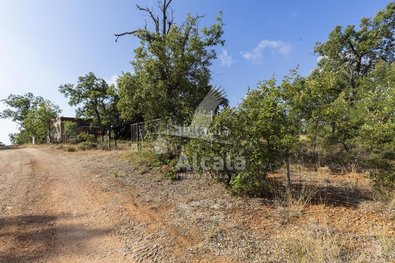 Foto 33c075ab-fbab-47a1-a545-70a643dacf5d. Terreno residenziale in Pastrana