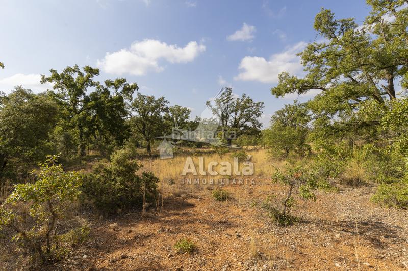 Foto 394859a6-6273-4677-bbe1-5915a2da9392. Terreno residenziale in Pastrana