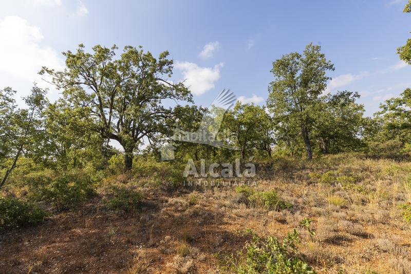 Foto 3b710638-12d9-4e96-bcd3-2d5fbf4870f7. Terreno residenziale in Pastrana