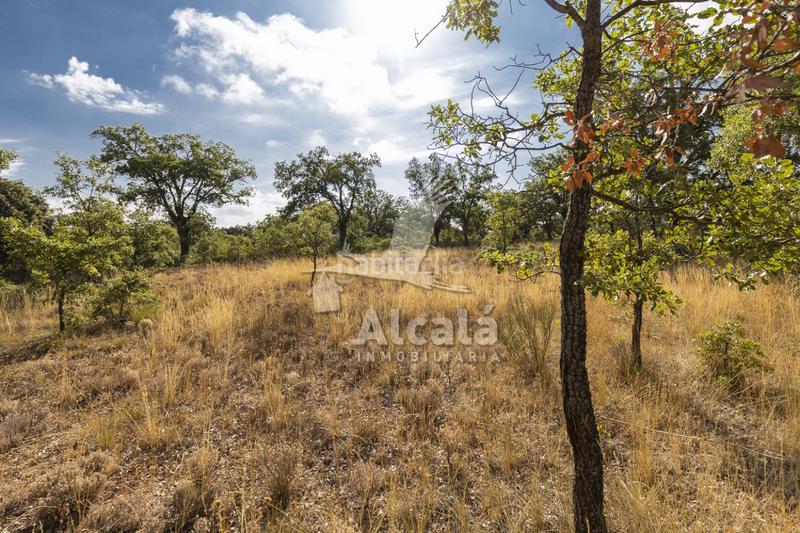 Foto 41ccf168-99cd-4886-8167-4834c657b563. Terreno residenziale in Pastrana