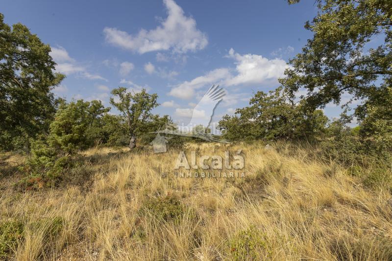 Foto 4b4a5f7f-b6cd-46f1-bd8e-be955be0ca9e. Terreno residenziale in Pastrana