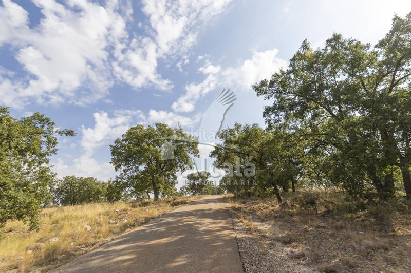 Foto 4d74fd5d-d22e-44be-b833-98baebe1acfc. Terreno residenziale in Pastrana