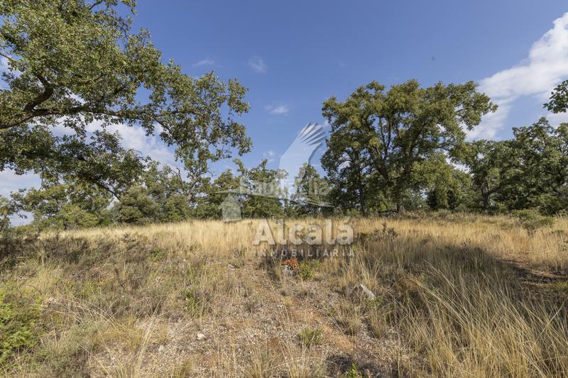 Foto 6fd2c7a4-9ec4-4b9d-b387-05b213b179f0. Terreno residenziale in Pastrana