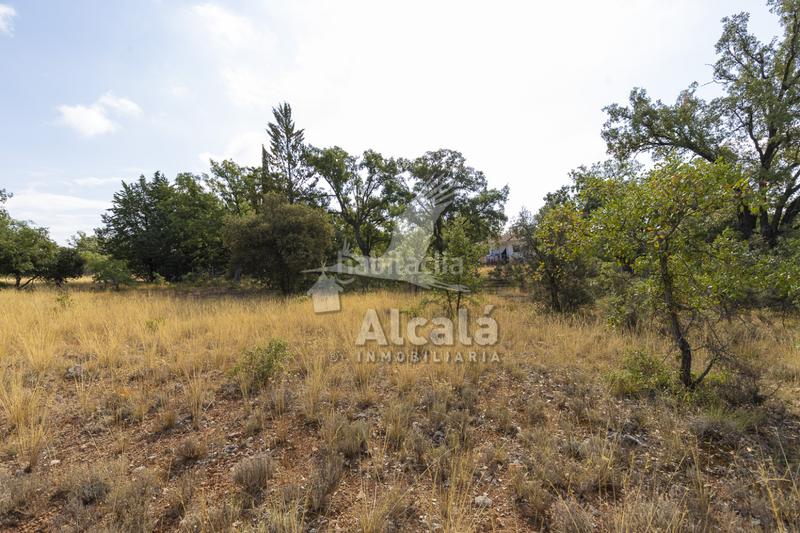 Foto 795bfa7d-bb61-4aa3-863f-cb6f6725535f. Terreno residenziale in Pastrana