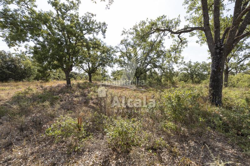 Foto 7d0ccfe9-482d-4291-a0f7-6be821000801. Terreno residenziale in Pastrana