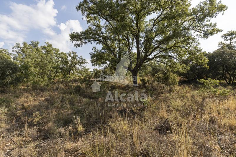 Foto 7d0ec5e8-8387-407f-bc32-100e90323a46. Terreno residenziale in Pastrana