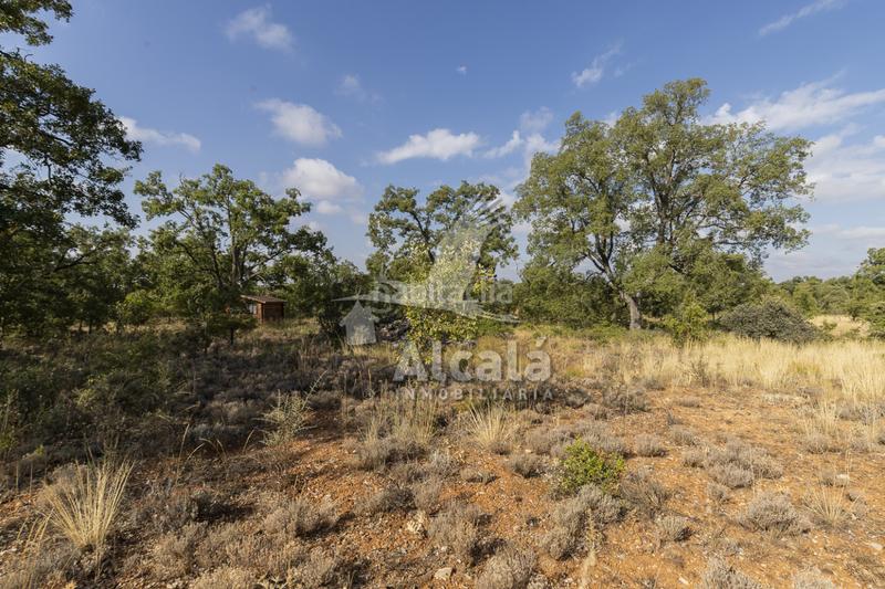 Foto 7fa5c71e-48c2-4f31-80a6-11845e542326. Terreno residenziale in Pastrana