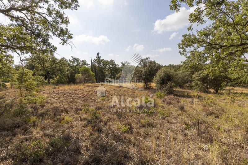 Foto 8c4791d5-464b-4c71-96f5-24c2e61fc252. Terreno residenziale in Pastrana