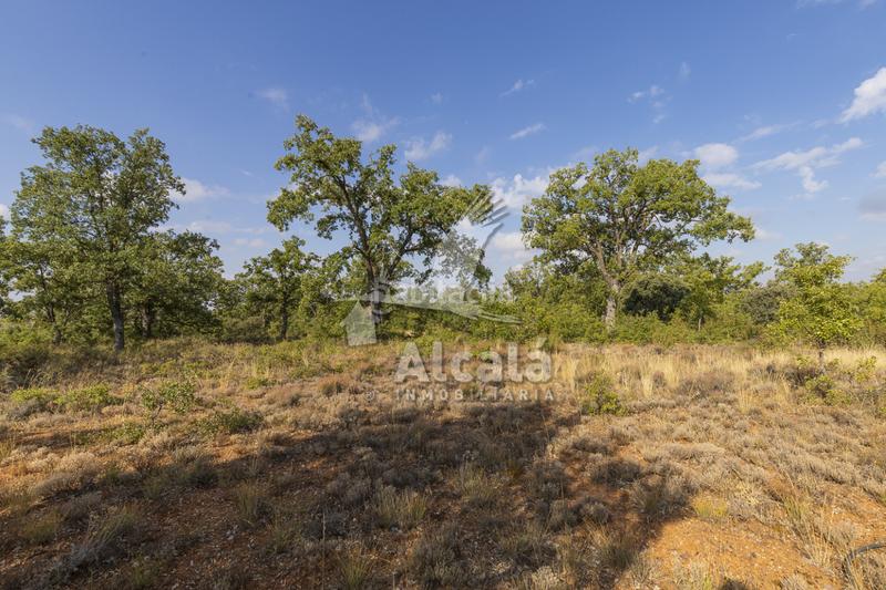 Foto 91295013-66f4-427a-989c-14cde0b61365. Terreno residenziale in Pastrana