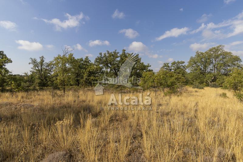 Foto a275bcf2-461b-43b9-b844-f641563f7012. Terreno residenziale in Pastrana