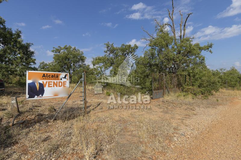 Foto aa1ba1aa-9a8d-486b-b42e-a31e7340a823. Terreno residenziale in Pastrana